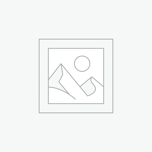 Electric pallet Heavy Duty trucks Awaiting product image